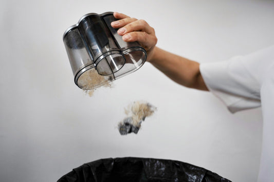 Überleben Milben im Staubsauger? Was nach dem Saugen wirklich passiert