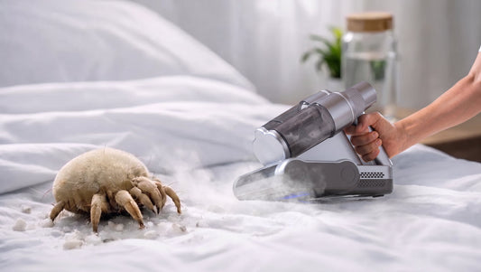Chemiefrei gegen Hausstaubmilben